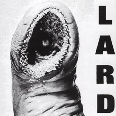 Lard • Power Of Lard