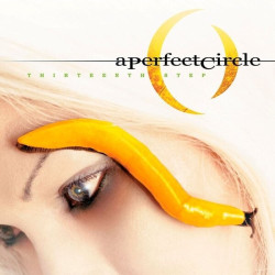 A Perfect Circle • Thirteenth Step