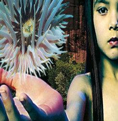 Future Sound of London Lifeforms • Future Sound of London Lifeforms