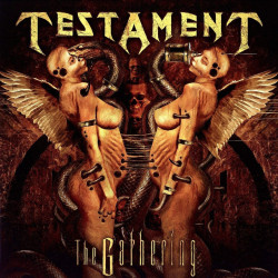 Testament • The Gathering (Ltd/Gatefold)