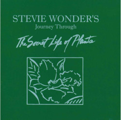 Stevie Wonder • Secret Life of Plants