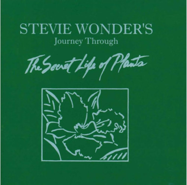 Stevie Wonder • Secret Life of Plants