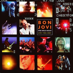 Bon Jovi • One Wild Night