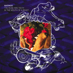 Matmos • The Rose Has Teeth in the Mouth of a Beast