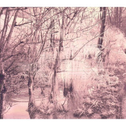 Esben And The Witch • Violet Cries