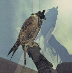 Iceage You´re Nothing • Iceage You´re Nothing