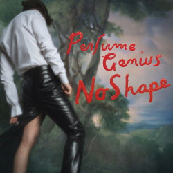 Perfume Genius • No Shape