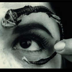 Mr. Bungle • Disco Volante (Rocktober 2025) / 140Gr.