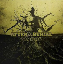 After The Burial • Rareform (10 Year Anniversary)