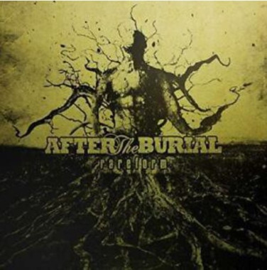 After The Burial • Rareform (10 Year Anniversary)