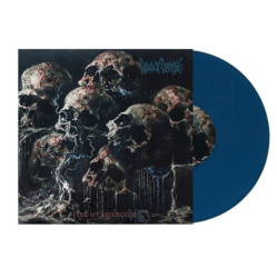 Dawn Of Demise • Feed My Absurdity Ltd.