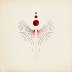 The Ocean • Solaris Ltd.