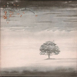 Genesis • Wind & Wuthering / 140Gr.