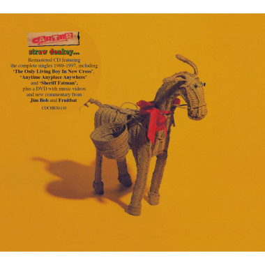 Carter The Unstoppable... • Straw Donkey.                                                         Th