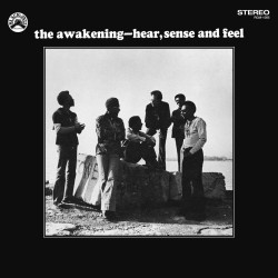 Awakening Hear, Sense and Feel • Awakening Hear, Sense and Feel