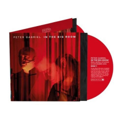 Peter Gabriel • In The Big Room
