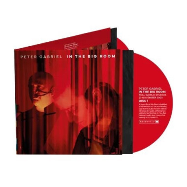 Peter Gabriel • In The Big Room