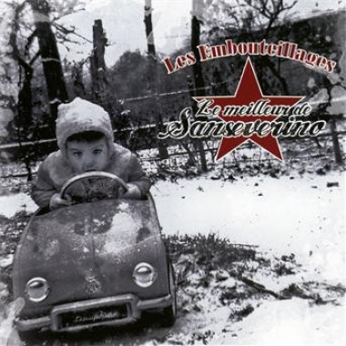 Sanseverino • Le meilleur de Sanseverino