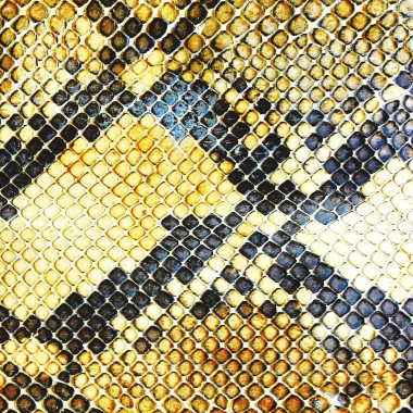 AMAZING SNAKEHEADS • AMPHETAMINE BALLADS / =DEBUT FROM GLASGOW TRIO ON DOMINO=
