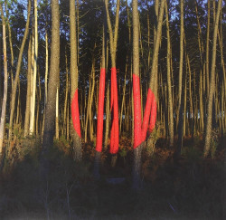 FRANCOIS & THE ATLAS MOUN • PIANO OMBRE