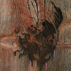 Avey Tare’s Slasher Flicks • Enter the Slasher House (wallet packaging)