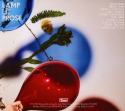 Dirty Projectors • Lamp Lit Prose
