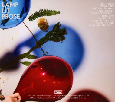 Dirty Projectors • Lamp Lit Prose