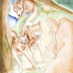 Bonnie Prince Billy • Wolf of the Cosmos (digipack)