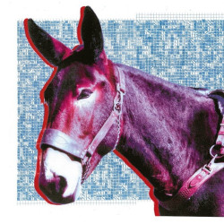 Protomartyr • Ultimate Success Today