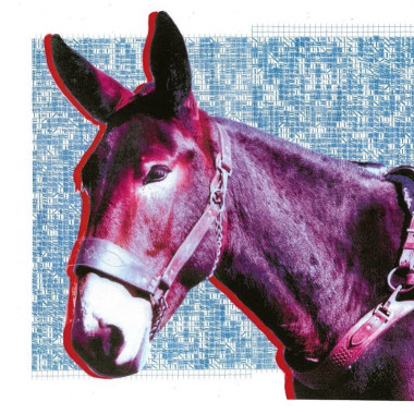 Protomartyr • Ultimate Success Today