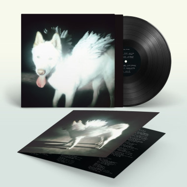 Fat Dog • Cancel Me (I´M Tired)