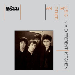 Buzzcocks • Another Different Kitchen