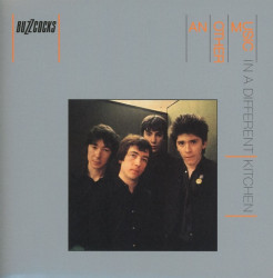 Buzzcocks • Another Music in a Different Kitchen
