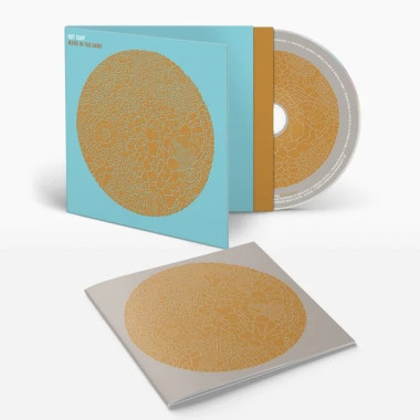Hot Chip • Made In The Dark