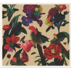 Washed Out • Paracosm