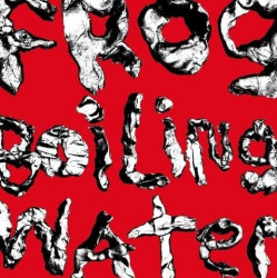 DIIV • Frog In Boiling Water