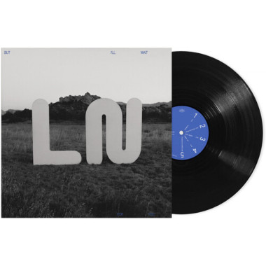 Local Natives • But I´ll Wait For You