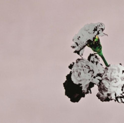 John Legend • Love In The Future