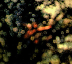 Pink Floyd • Obscured By Clouds