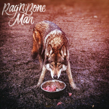 Rag´n´Bone Man • Wolves