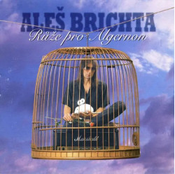 Brichta Aleš • Růže Pro Algernon (Remastered 2026)