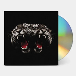Royal Blood • Dead Company