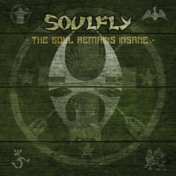 Soulfly • The Soul Remains Insane The Studio Albums 1998 to 2004