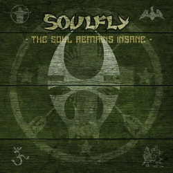 Soulfly • The Soul Remains Insane The Studio Albums 1998 to 2004 (140gr)