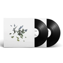 These New Puritans • Field of Reeds (140gr)