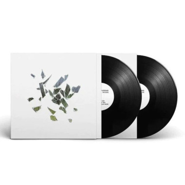 These New Puritans • Field of Reeds (140gr)