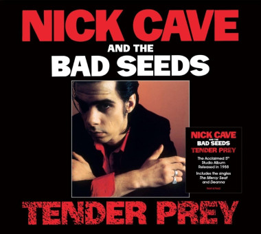 Nick Cave & The Bad Seeds • Tender Pray