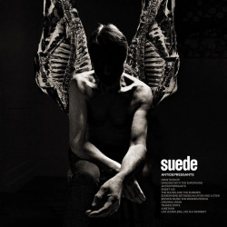 Suede • Antidepressants