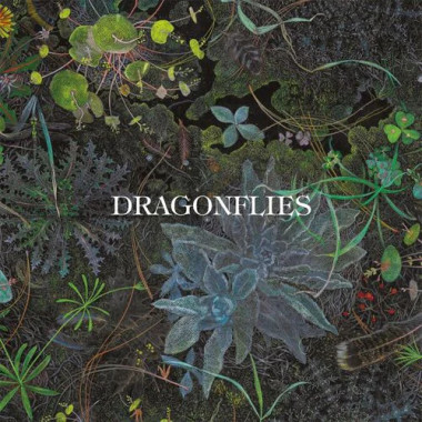 The Dragonflies • Dragonflies