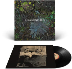 The Dragonflies • Dragonflies